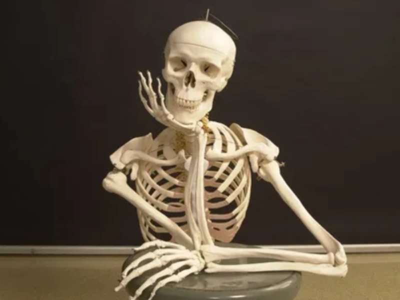 Você tem cuidado dos seus ossos? 5 Dicas Essenciais para a Saúde Óssea!