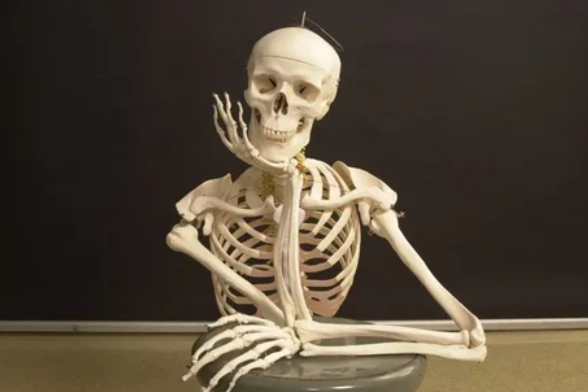 Você tem cuidado dos seus ossos? 5 Dicas Essenciais para a Saúde Óssea!