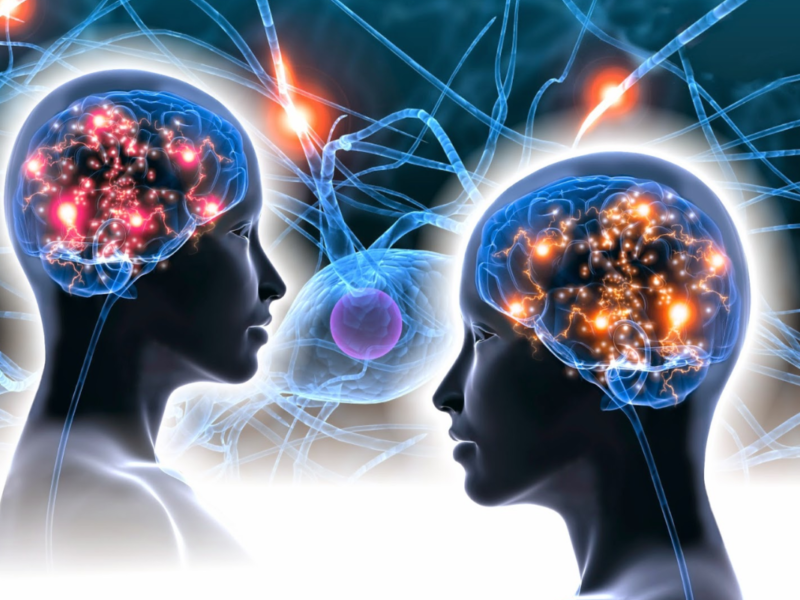 Descubra 7 Dicas Essenciais para Cuidar da Sua Memória Hoje!