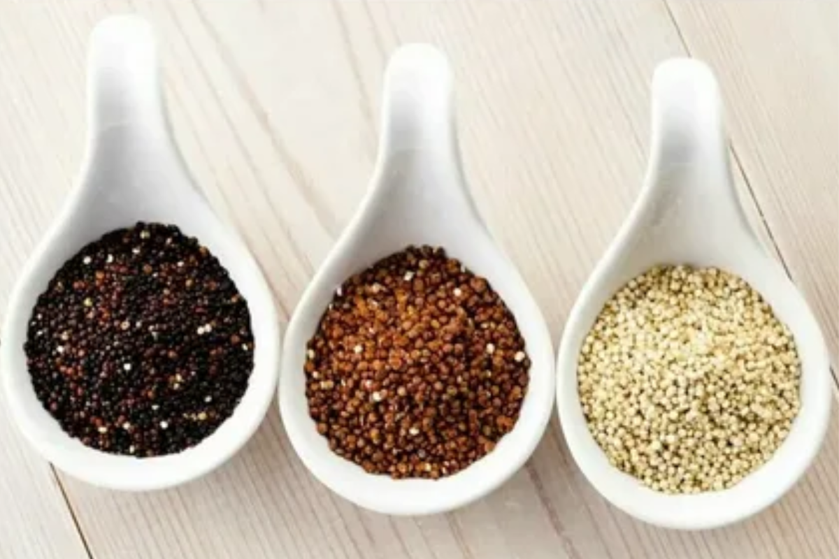 Qual a Melhor Quinoa: Branca, Vermelha ou Preta? Descubra Aqui!