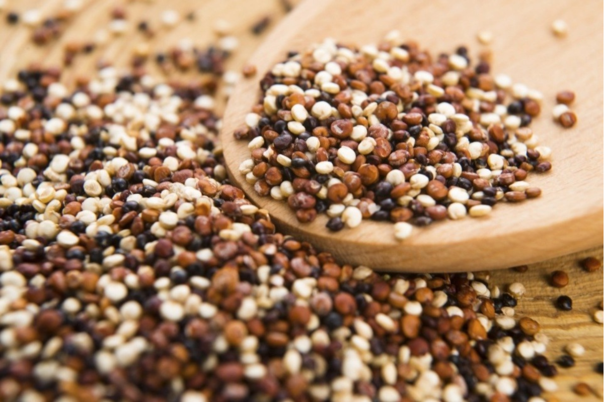 Qual a Melhor Quinoa: Branca, Vermelha ou Preta? Descubra Aqui ...