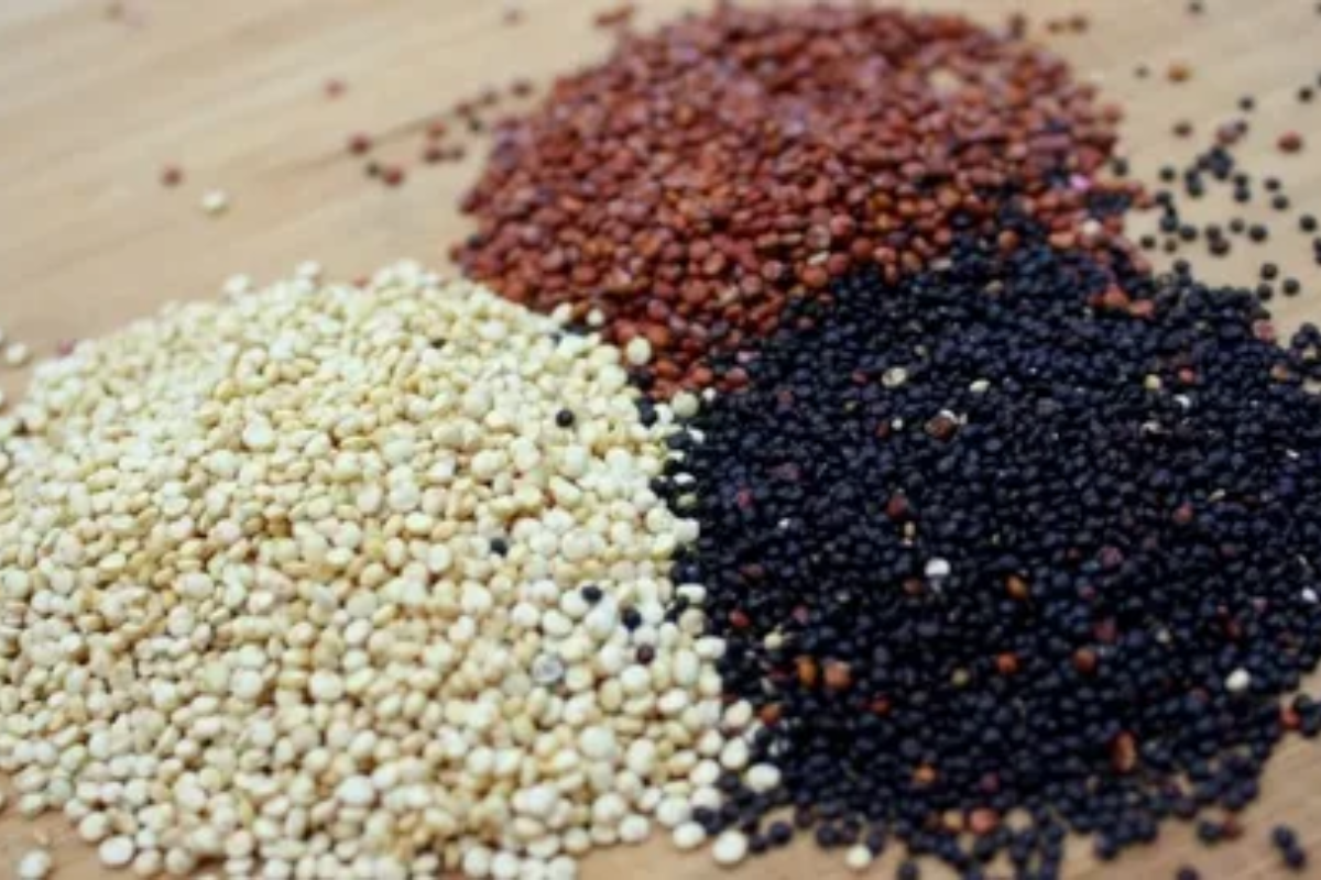 Qual a Melhor Quinoa: Branca, Vermelha ou Preta? Descubra Aqui ...