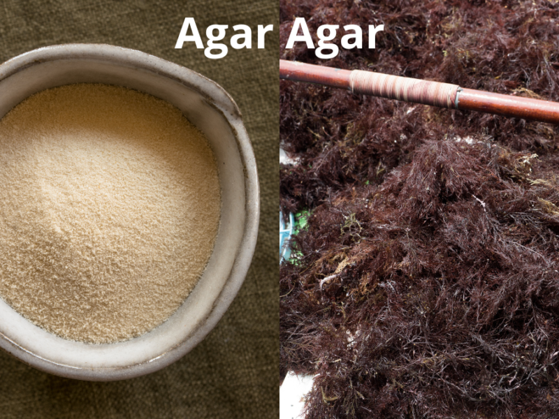 Descubra as Propriedades do Ágar-agar: 5 Benefícios Imperdíveis Hoje