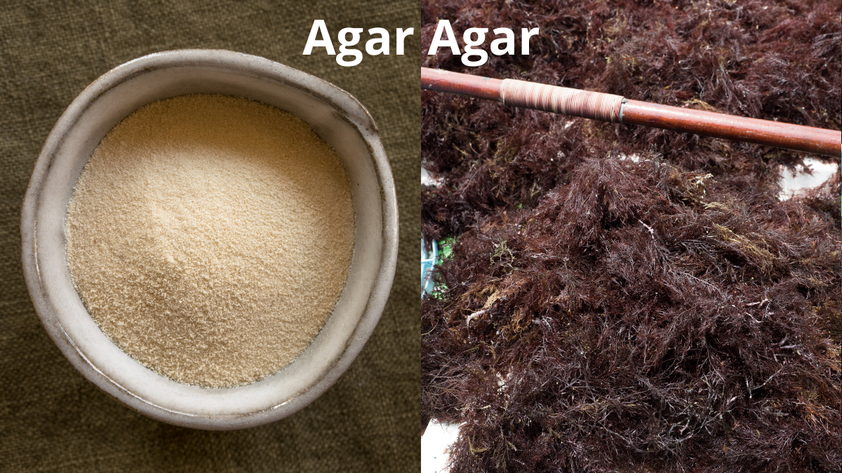 Descubra as Propriedades do Ágar-agar: 5 Benefícios Imperdíveis Hoje