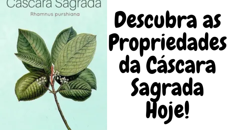 Descubra as Propriedades da Cáscara Sagrada Hoje!