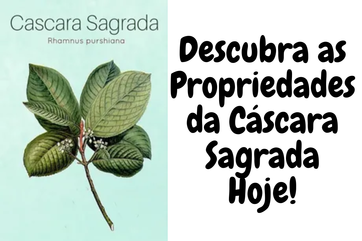 Descubra as Propriedades da Cáscara Sagrada Hoje!