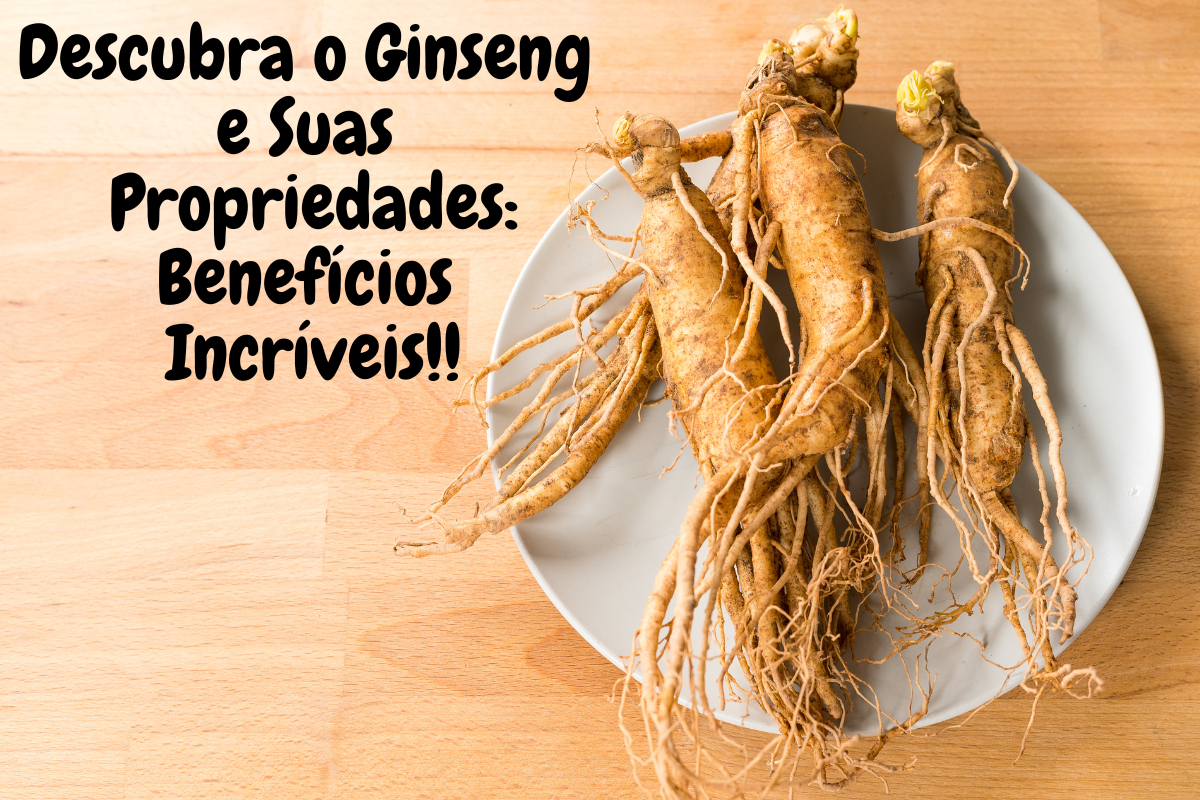Descubra o Ginseng e Suas Propriedades: Benefícios Incríveis Hoje!