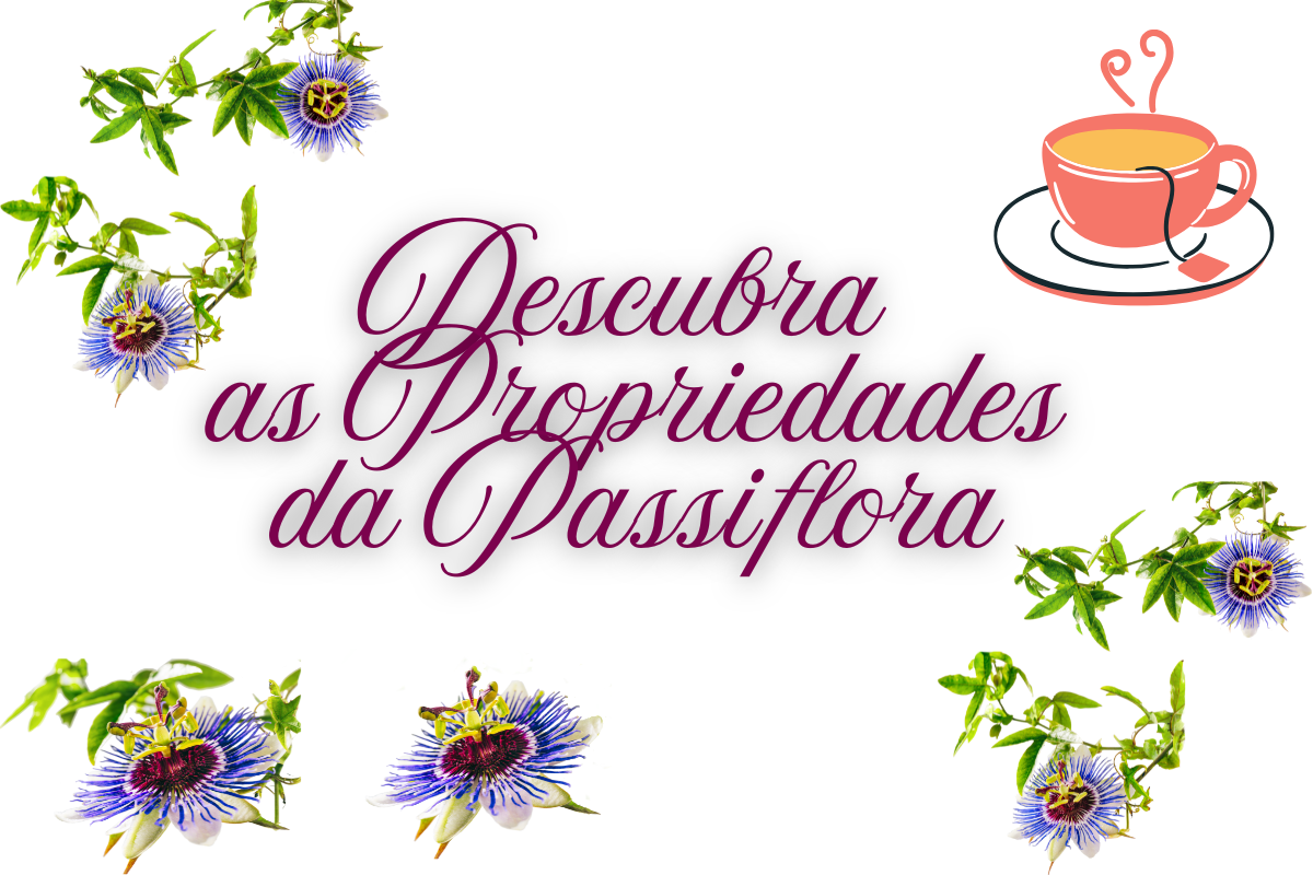 Descubra as Propriedades da Passiflora: Benefícios Incríveis Hoje!